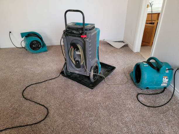 Best Flooded house restoration  in Collinsville, VA