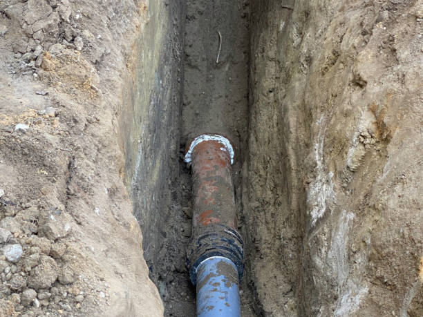 Best Sewage cleanup and water damage restoration  in Collinsville, VA