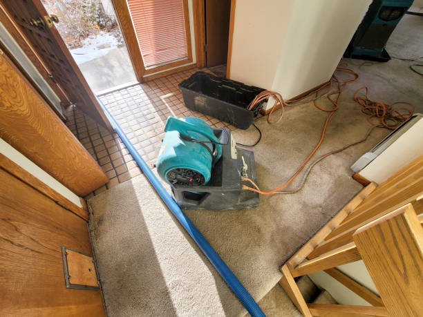  Collinsville, VA Water damage restoration Pros
