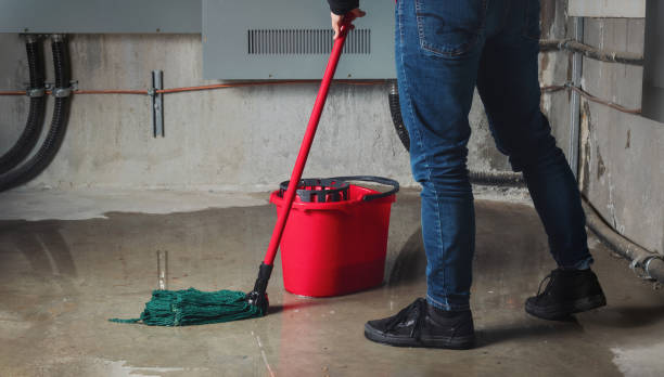 Best Water damage cleanup near me  in Collinsville, VA