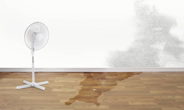 Best Commercial water damage restoration  in Collinsville, VA