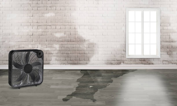 Water damage restoration process in VA