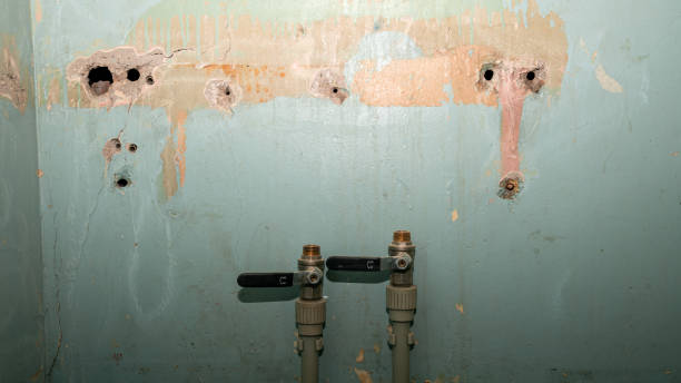 Best Water damage restoration near me  in Collinsville, VA