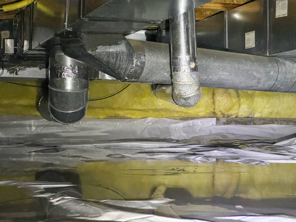Best Mold removal after water damage  in Collinsville, VA